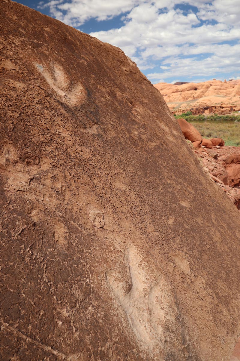 Potash Road Dinosaur Tracks and Petroglyphs