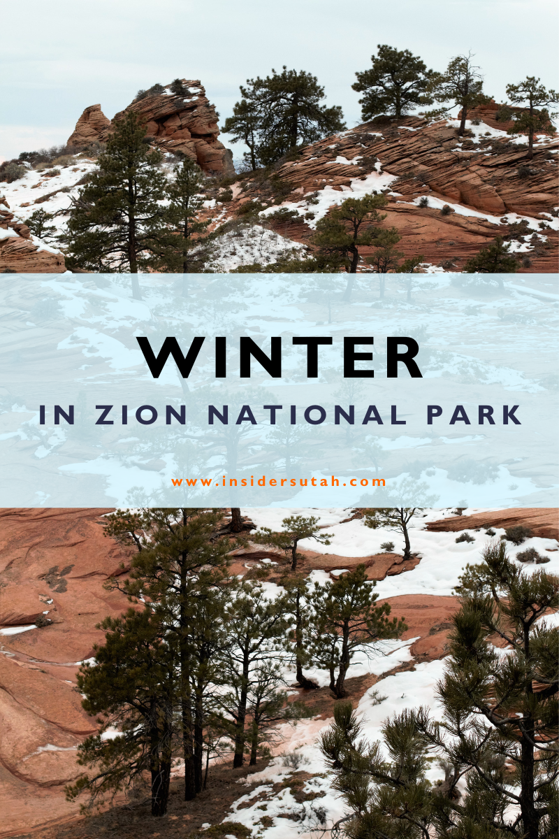 Visiting Zion National Park in Winter