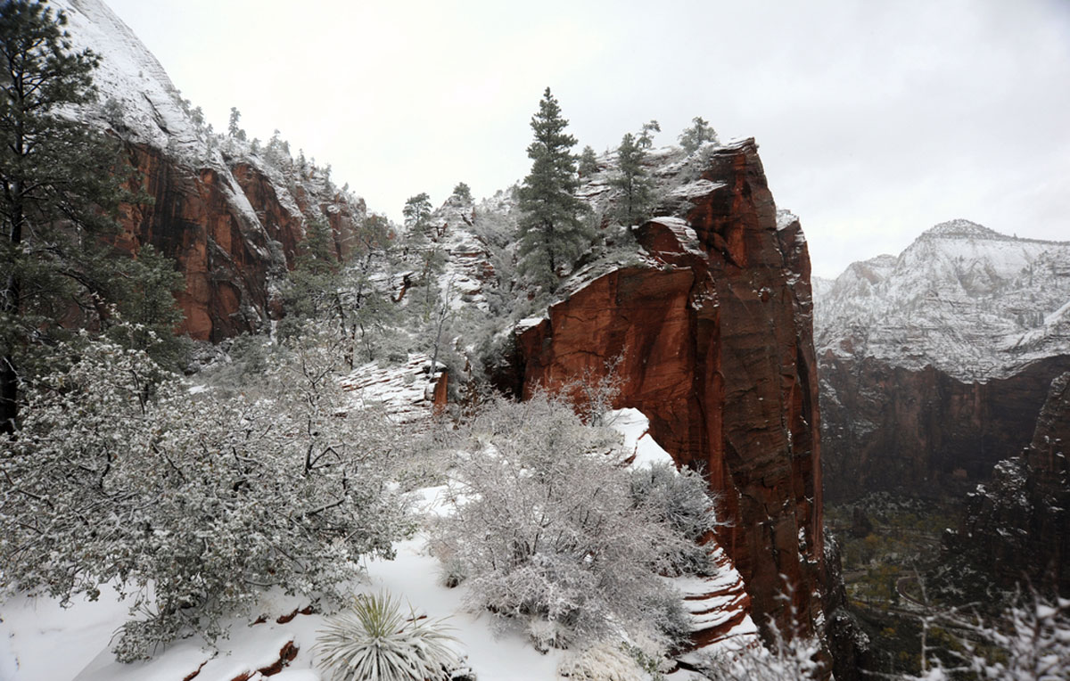 Zion National Park Winter