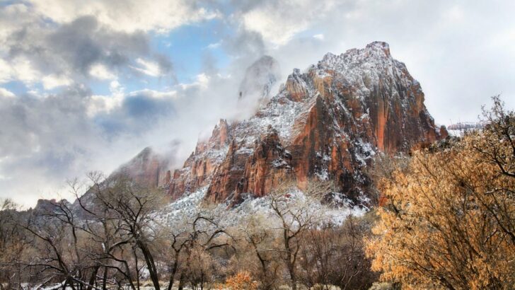 Visiting Zion National Park in Winter: 12 Fun Things to Do & Insider Tips