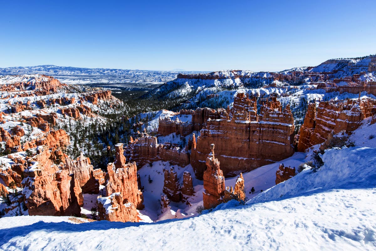 Zion National Park Winter